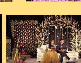 Branch & Crystal Stage Seating - Event Management Ranakpur Kumbhalgarh
