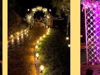 Pathway Globe Lights - Event Management Ranakpur Kumbhalgarh