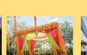 Greenery Wall with Marigold Swags - Event Management Ranakpur Kumbhalgarh