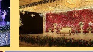 Reception Floral Wall Stage - Event Management Ranakpur Kumbhalgarh