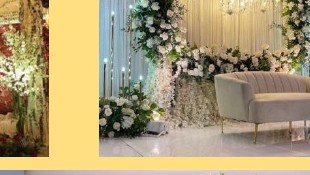 Greenery Arch Stage - Event Management Ranakpur Kumbhalgarh